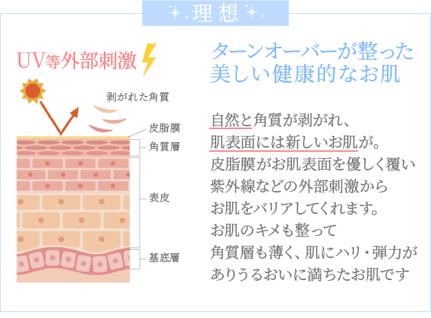 お肌の現実