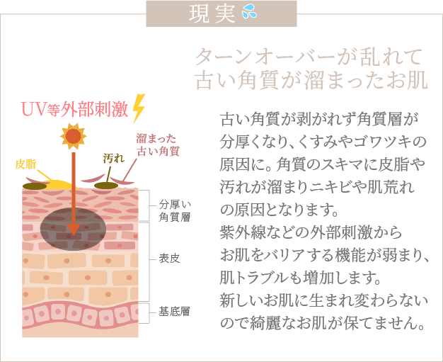 お肌の理想