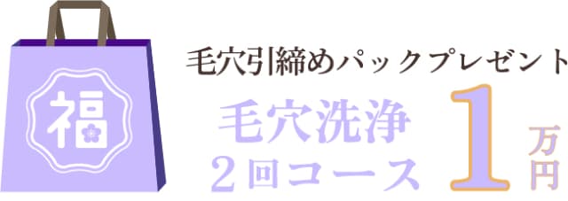 毛穴洗浄1万円コース詳細部分へジャンプ