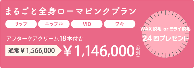 全身ローマピンク価格表