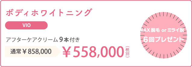 ボディホワイトニングVIO価格表